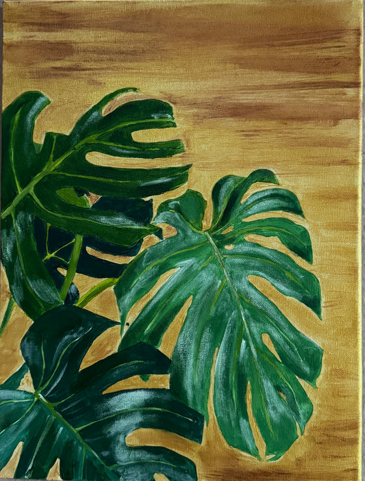 Monstera Blätter